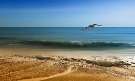 Medio Ambiente presenta el proyecto europeo que mejorará el espacio natural de las Salinas de San Pedro del Pinatar