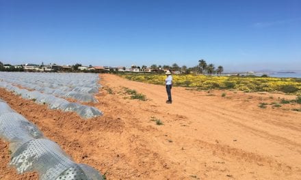 Plataforma Pacto por el Mar Menor denuncia ausencia o falta de aplicación de legislación en el Mar Menor