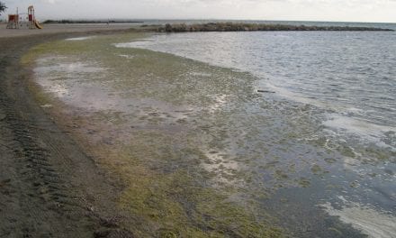 La Plataforma Pacto por el Mar Menor denuncia nuevos vertidos a la laguna salada en Murcia