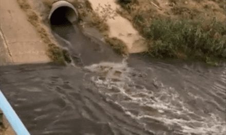 Nuevo vertido de aguas fecales en el Mar Menor desde Torre Pacheco