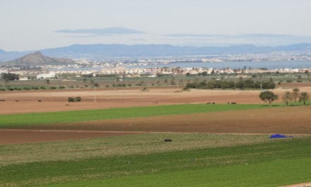 Cerca de  mil hectáreas de regadíos ilegales del entorno del Mar Menor volverán a ser de secano