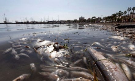 120 voluntarios de SOS Mar Menor retiran dos toneladas de basura