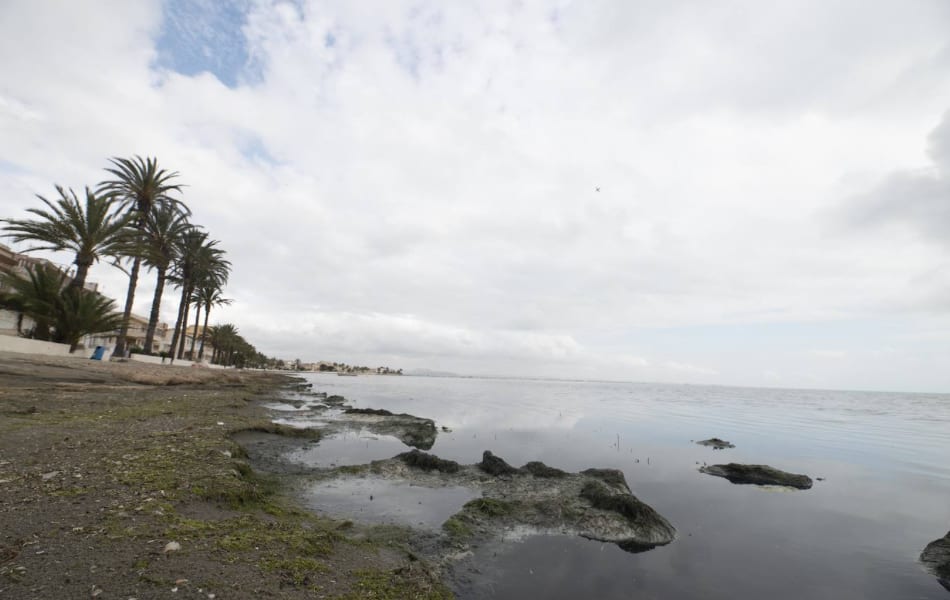 El Mar Menor esta teñido de un color negro en Los Urrutias por la descomposición de algas