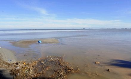 Se analizan las consecuencias de la gota fría sobre el Mar Menor con la colaboración de expertos de todo el país