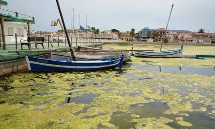 El Colegio de Ingenieros Agrónomos de la Región de Murcia delimitan las zonas del Mar Menor donde hay que actuar de urgencia