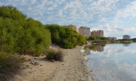 El Ministerio de Medio Ambiente autoriza a ANSE a restaurar una parte de la Caleta del Estadio