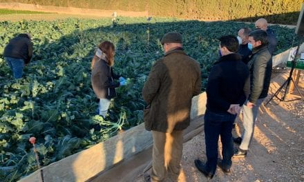 El Campo de Cartagena sigue invirtiendo en tecnología nueva para garantizar el uso óptimo de agua