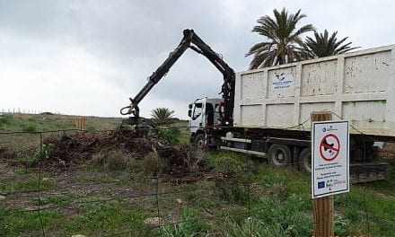 ANSE ha retirado más de 30 m3 de Especies Exóticas Invasoras en los arenales de San Pedro del Pinatar