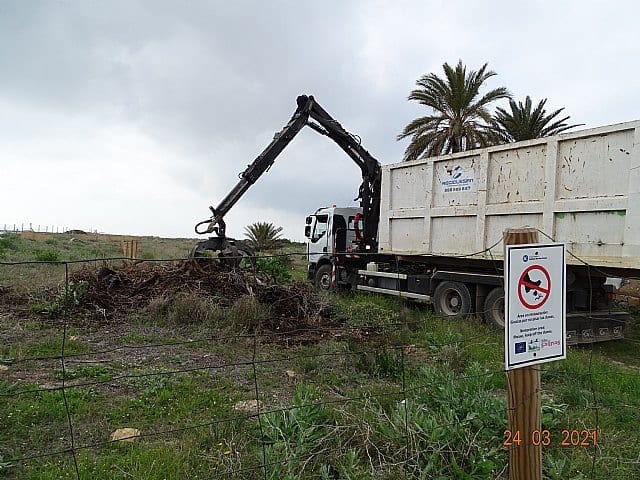 ANSE ha retirado más de 30 m3 de Especies Exóticas Invasoras en los arenales de San Pedro del Pinatar