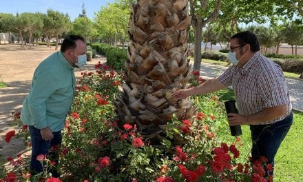 La campaña regional de vigilancia y control del mosquito tigre en San Javier