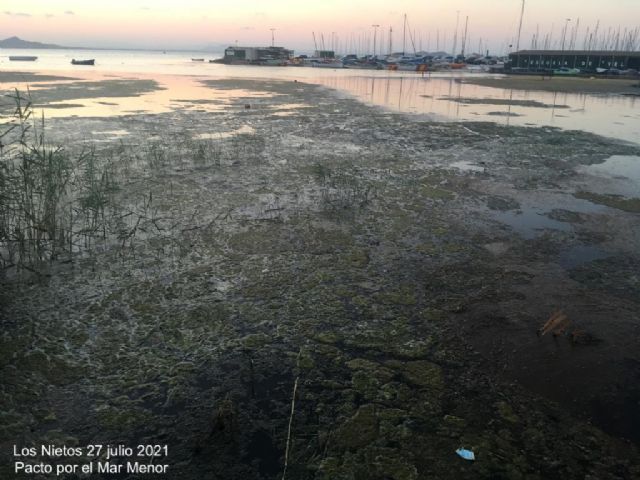 Pacto por el Mar Menor: El interminable caos del Mar Menor, un laberinto de contradicciones