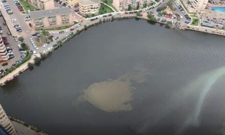 La bolsa anóxica con materia en descomposición que causa la muerte de los peces del Mar Menor, la laguna salada de Murcia