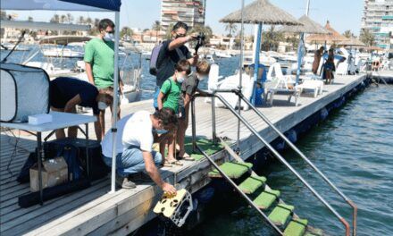 Un vistazo dentro del Mar Menor sin mojarse