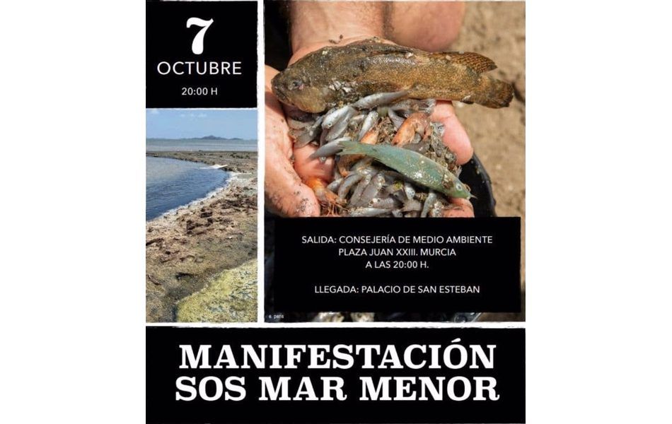 Murcia rules - Página 11 Manifestacio%CC%81n-en-Murcia-por-el-Mar-Menor-7-de-octubre-2021