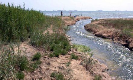 Los filtros verdes del Mar Menor tendrán que esperar mas de lo previsto