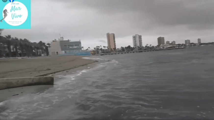 El Movimiento ciudadano ‘Por un Mar Menor Vivo’ aporta más imágenes a la Guardia Civil sobre vertidos en San Javier