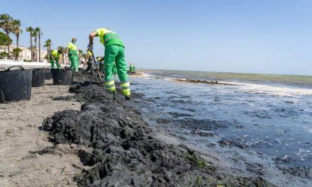 Preocupación por las consecuencias de las últimas lluvias y el su efecto en el Mar Menor