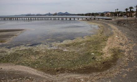 En su estado actual el Mar Menor necesita un milagro