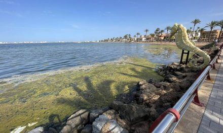 Estado Mar Menor 2022: Indignación en las redes sociales por el proceso de degradación de la laguna salada