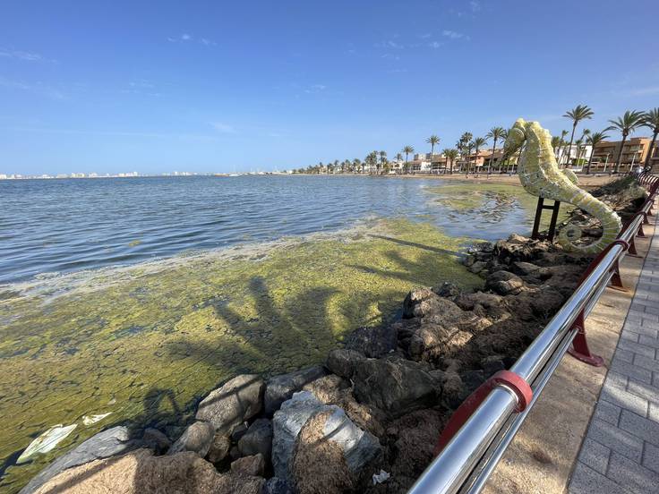 Estado Mar Menor 2022: Indignación en las redes sociales por el proceso de degradación de la laguna salada