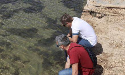 Podemos Murcia exige la dimisión de Antonio Luengo tras la nueva aparición de peces muertos en el Mar Menor