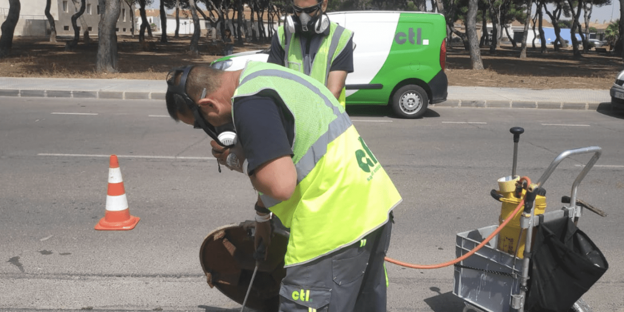 Una campaña de desinsectación en todo el alcantarillado de San Javier