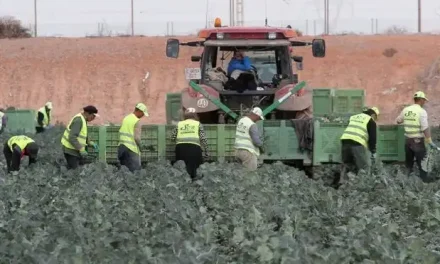 Los agricultores del Mar Menor reclaman ayudas para poder cumplir las medidas exigidas por ley