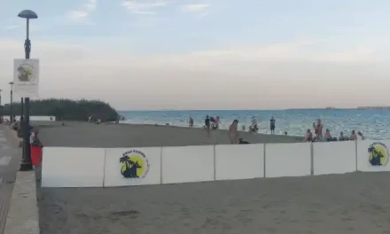 Playa canina Los Alcázares: estrenan la primera playa canina del Mar Menor